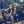 Saras_s