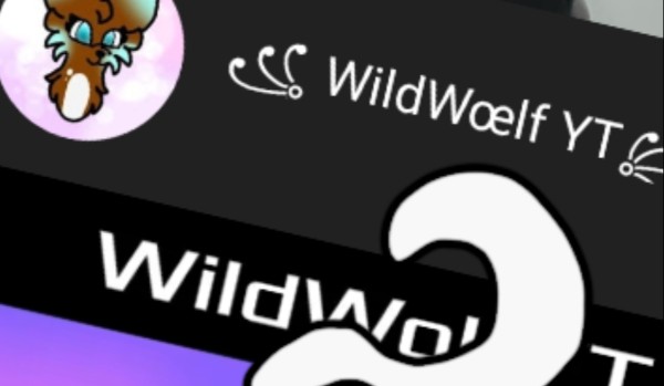 Jak dużo wiesz o WildWœlf YT?