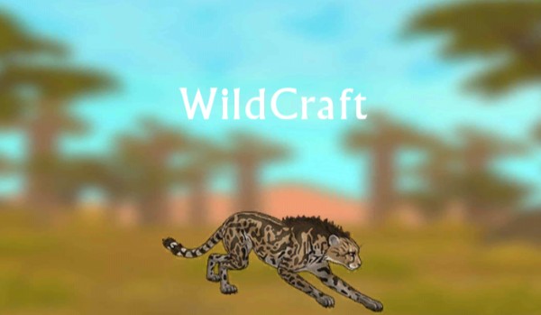 Jak dobrze znasz Wildcrafta?