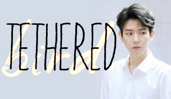 Tethered bird #4| Byun Baek Hyun