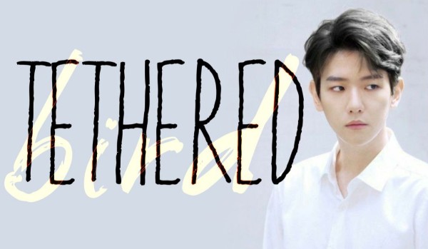 Tethered bird #2 | Byun Baek Hyun