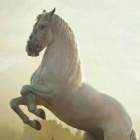 qXKonieLifeXp