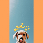 KochamPieski_3
