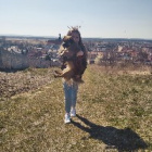 http.wikicia