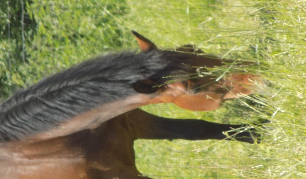 Nieznani Zwiadowcy-Kołczan #2.1