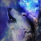 fox.wolf1212