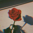 Rosemione_Potter