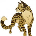 LeopardHeart