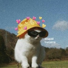 emilq_aa