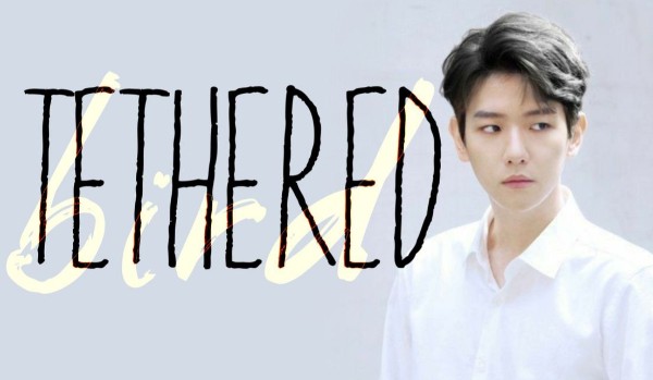 Tethered bird #10| Byun Baek Hyun
