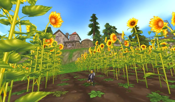 Jak dobrze znasz Star Stable?