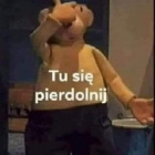 olszaczeq__