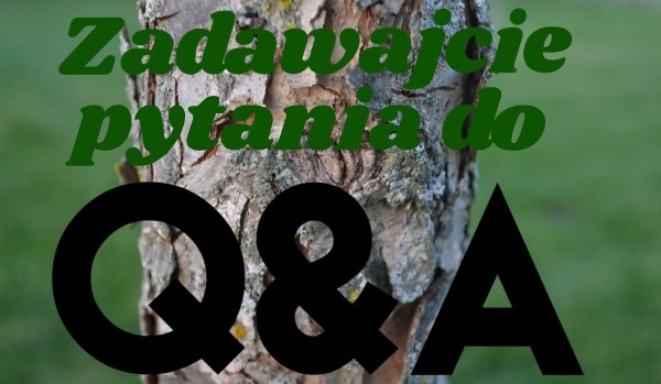 UWAGA!!! Zadawajcie pytania do Q&A!