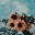 olae.pl