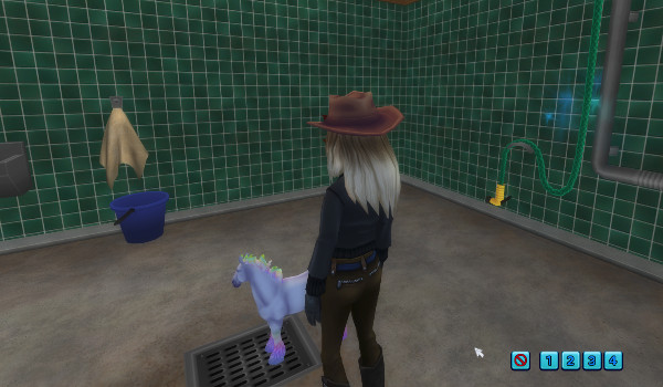 Moje zdjęcia z sso 2#13