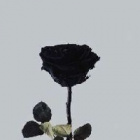 TopazBlack