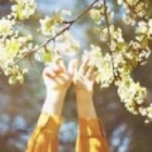 ..Sun..
