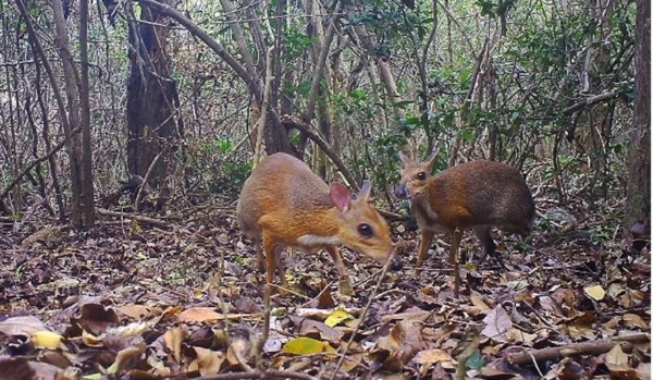 Jak leżeć na podłodze?