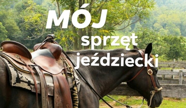 Mój sprzęt jeździecki – dla konia