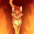 WarriorCatsLove