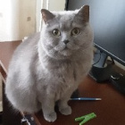 olciqk_66