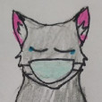 Dark_skajek