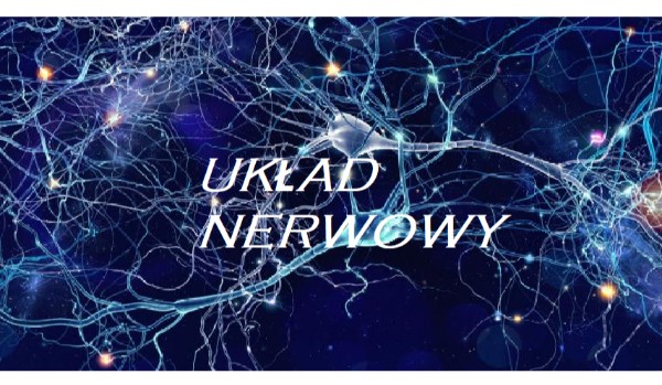 Układ nerwowy.