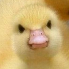 arayoffuckingsunshine