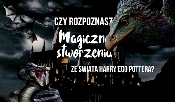 Czy rozpoznasz magiczne stworzenia ze świata Harry’ego Potter’a?