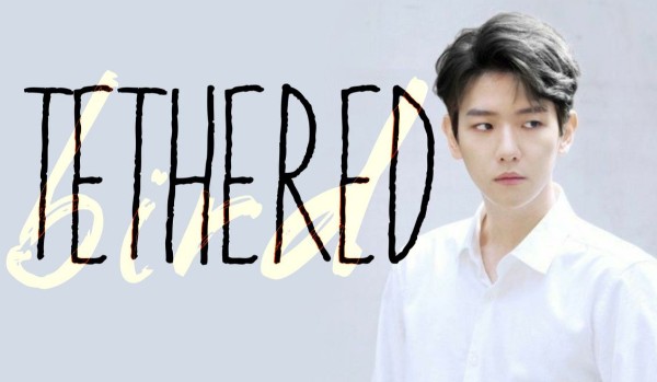 Tethered bird #6 | Byun Baek Hyun