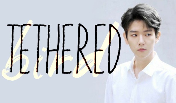 Tethered bird #3 | Byun Baek Hyun
