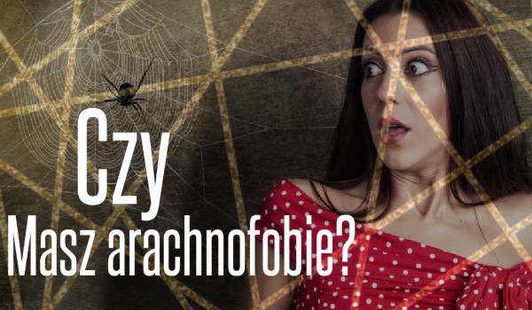 Czy masz arachnofobie?