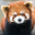 PandaRuda