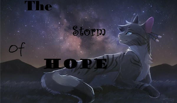 The Storm Of Hope || przedstawienie postaci ||