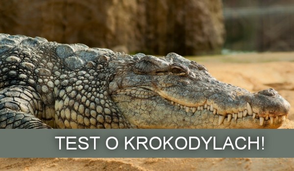 Test o krokodylach!