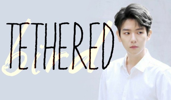 Tethered bird #9 | Byun Baek Hyun