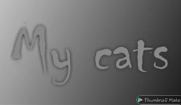 My cats – moje kocie rysunki