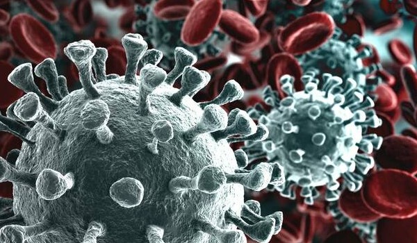 Koronawirus (Covid-19)