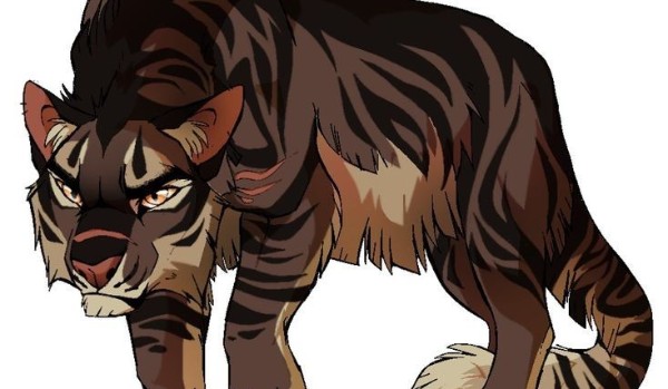 Jakim kotem z Wojowników jesteś???