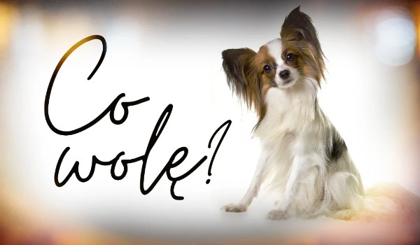 Co wolę?|odpowiedzi #1