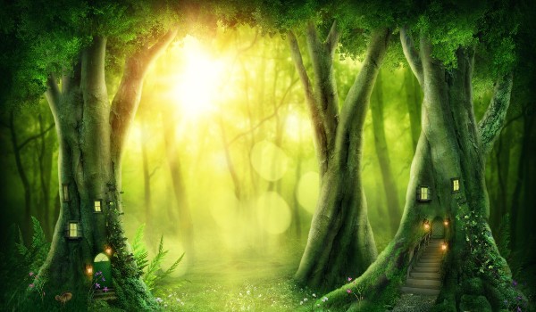 Czy przetrwasz jeden dzień w zaczarowanym lesie?