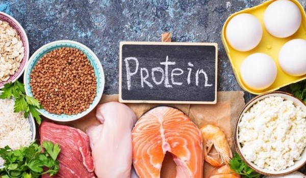 Białka – budulcowa funkcja w organizmie