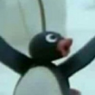 Pingupingu