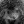 Laura_577