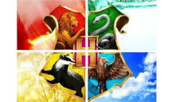 Czwórka Hogwartu – następcy ~ rozdział szósty