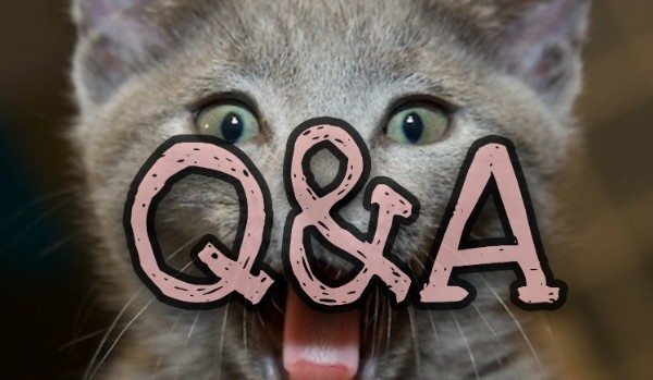 Q&A! – specjal na 45 obserwujących