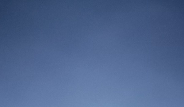 Jaki będzie twój seks?