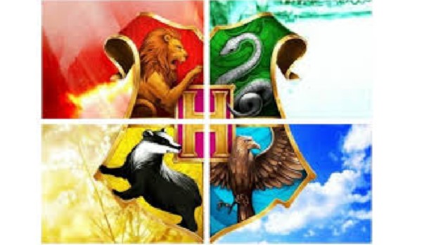 Czwórka Hogwartu – następcy ~ rozdział czwarty