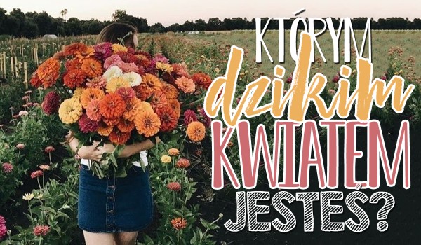 Którym dzikim kwiatem jesteś?