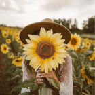 ___Nominka.Dla.Kazdego___